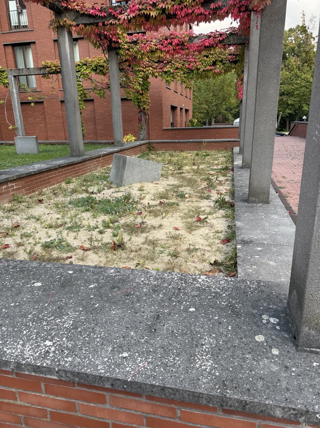 Vorher: kahle, sandige Fläche